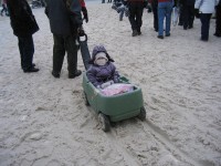 The winter stroller