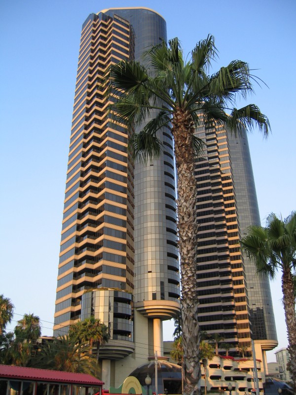 Palm trees and skyscrapers