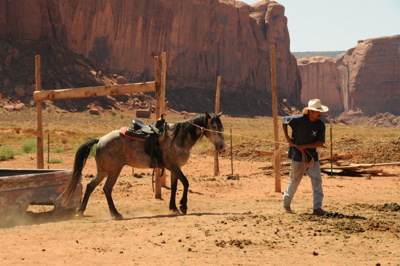 The Indian cowboy