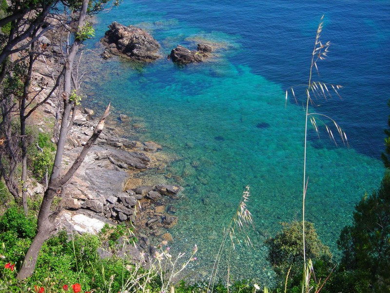 Vicino l'Isola Paolina